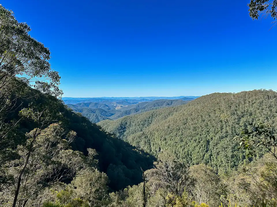 Steep forested ridges under a clear blue sky, seen from a lookout